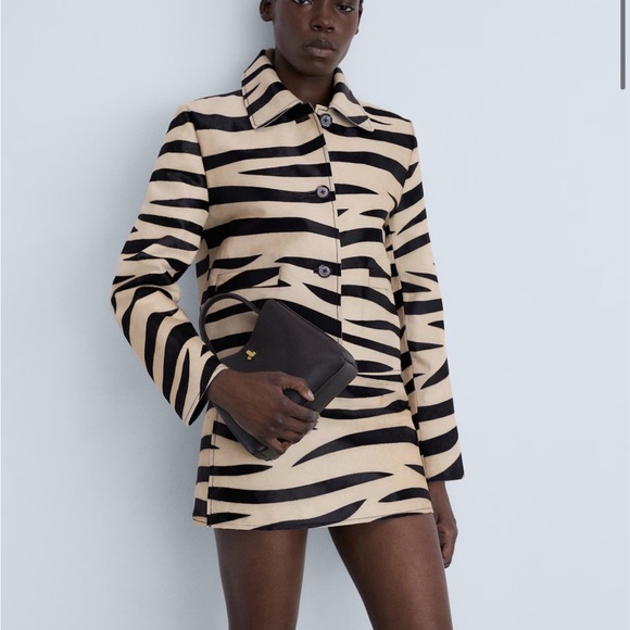 Zebra Jacket - Picture 4 of 5